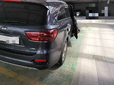 2019 Kia Sorento KNAPS81BBLA557183 VIN:KNAPS81BBLA557183