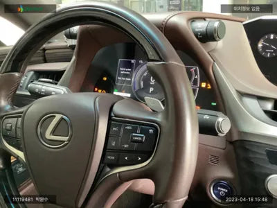 2020 Lexus ES 300 JTHBA1C15M2001461 VIN:JTHBA1C15M2001461