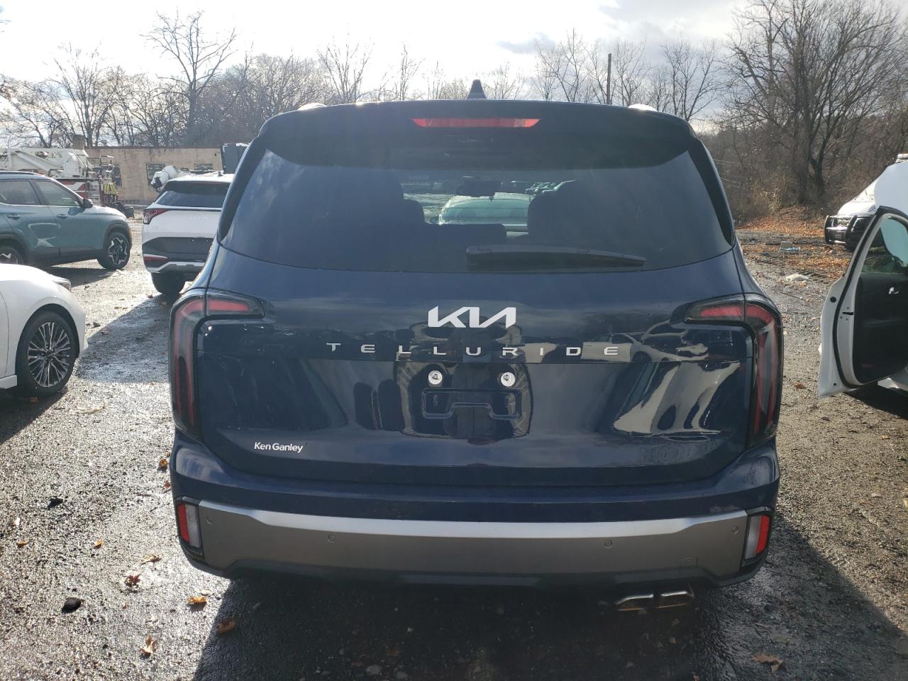 2024 KIA TELLURIDE EX VIN:5XYP34GC8RG565262