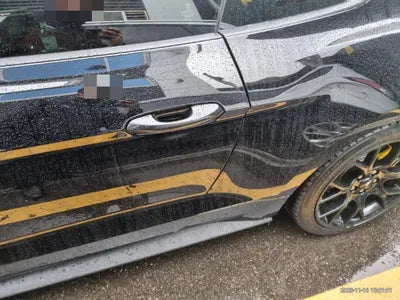 2019 Ford Mustang VIN: