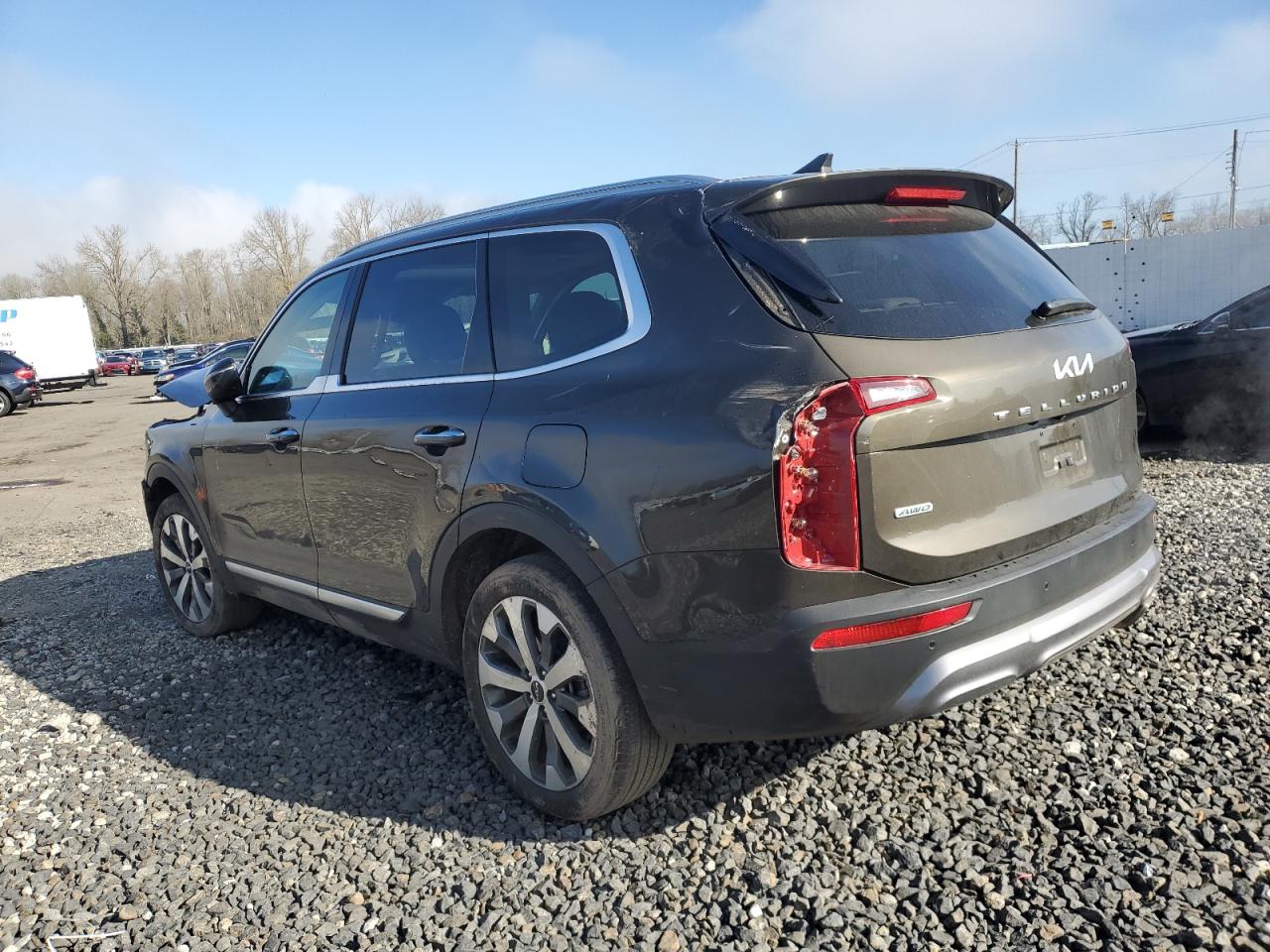2022 KIA TELLURIDE S VIN:5XYP6DHC0NG300464