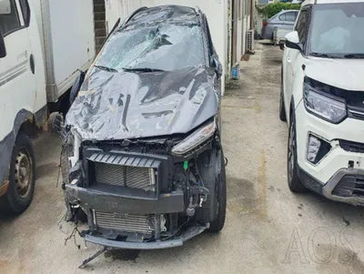 2018 Hyundai Kona KMHK4815GJU271890 VIN:KMHK4815GJU271890