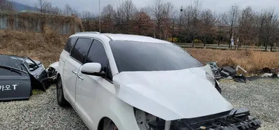 2019 Kia Carnival KNHMF37ABKS553933 VIN:KNHMF37ABKS553933