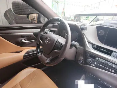 2019 Lexus ES 300 VIN: