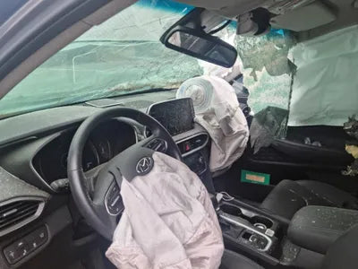 2020 Hyundai Santa FE KMHS381BBLU305856 VIN:KMHS381BBLU305856