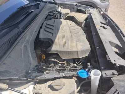 2020 Hyundai Santa FE KMHS281BDLU246600 VIN:KMHS281BDLU246600