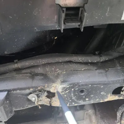 2019 Mercedes-Benz E 220 VIN: