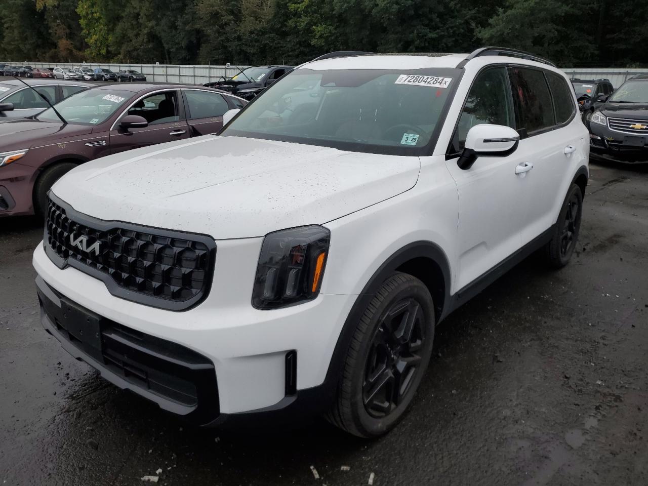 2024 KIA TELLURIDE EX VIN:5XYP3DGC8RG500198