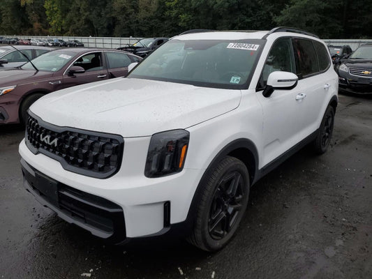 2024 KIA TELLURIDE EX VIN:5XYP3DGC8RG500198