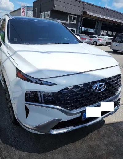 2021 Hyundai Santa FE KMHS581HGMU344512 VIN:KMHS581HGMU344512