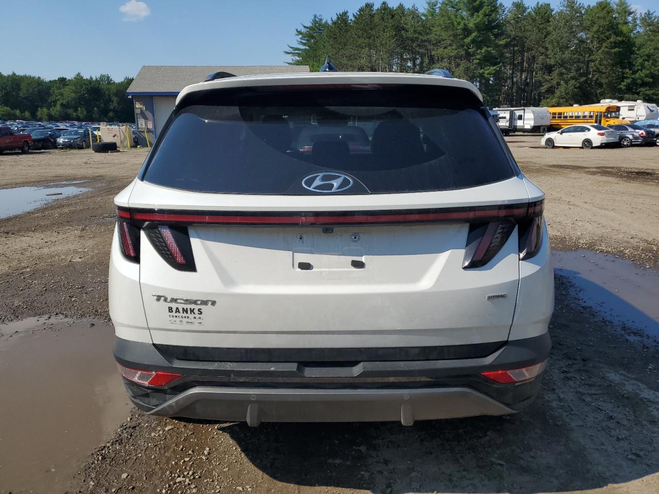 2022 HYUNDAI TUCSON LIMITED VIN:5NMJECAE7NH125487