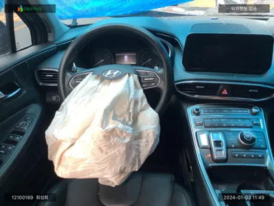 2021 Hyundai Santa FE KMHS281LGMU411223 VIN:KMHS281LGMU411223