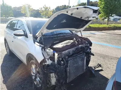 2019 Kia Sorento 130KMKNAPK81BBKA5 VIN:130KMKNAPK81BBKA5