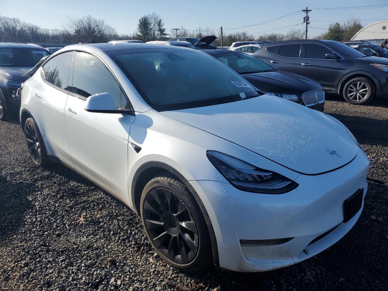 2023 TESLA MODEL Y  VIN:7SAYGAEE1PF611713