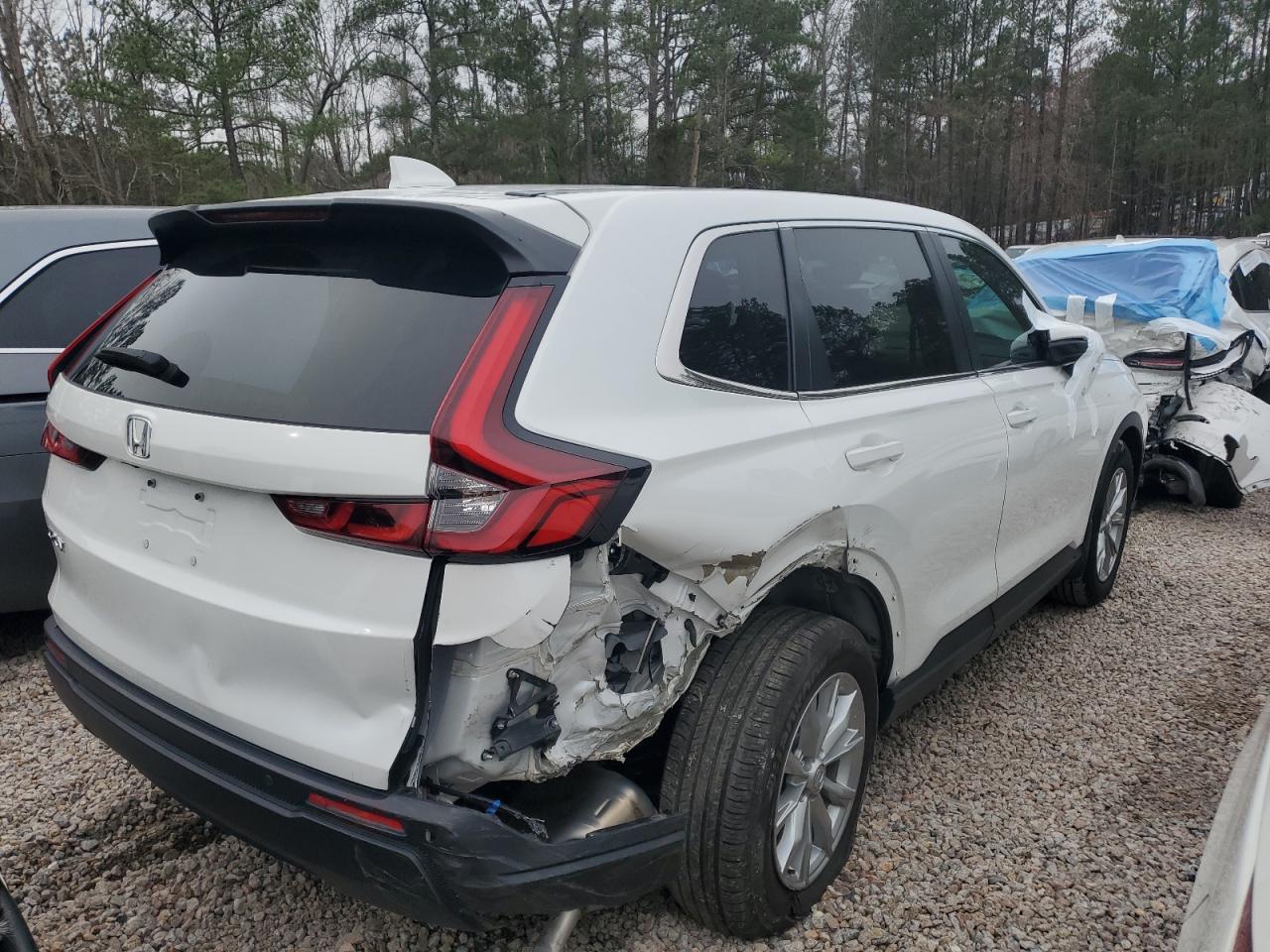 2024 HONDA CR-V EXL VIN:7FARS3H79RE004961