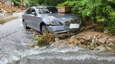 2016 acupuncture nessis 3.8 VIN: