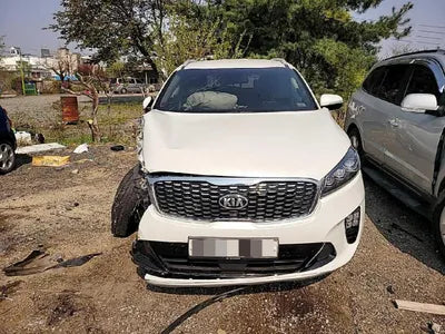 2018 Kia Sorento KNAPG81ABKA471971 VIN:KNAPG81ABKA471971