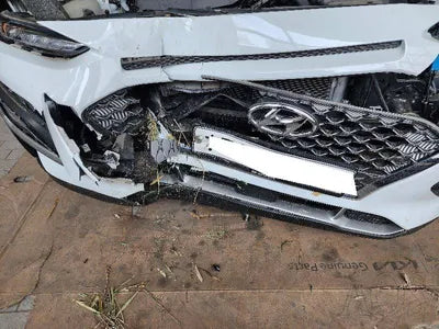 2019 Hyundai Kona KMHK4815GLU492188 VIN:KMHK4815GLU492188