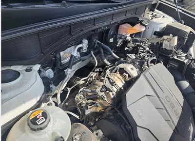 2021 Kia Sorento KNARH81BGMA036615 VIN:KNARH81BGMA036615