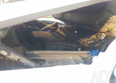 2018 Hyundai Santa FE KMHSW81UBJU834628 VIN:KMHSW81UBJU834628