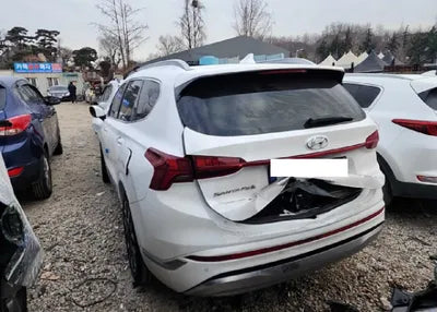 2021 Hyundai Santa FE KMHS581HGMU396744 VIN:KMHS581HGMU396744