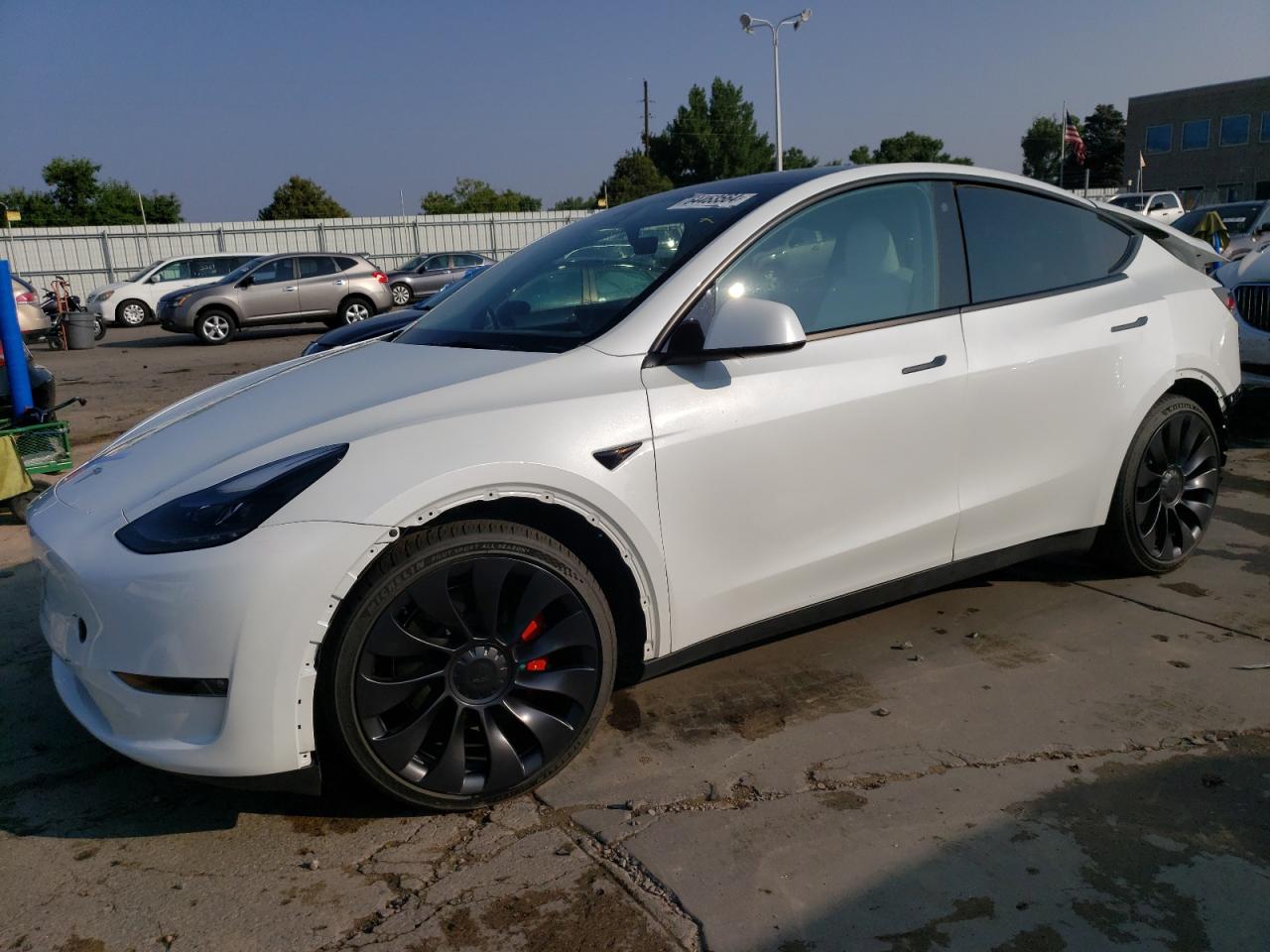 2023 TESLA MODEL Y  VIN:7SAYGDEF5PF710996