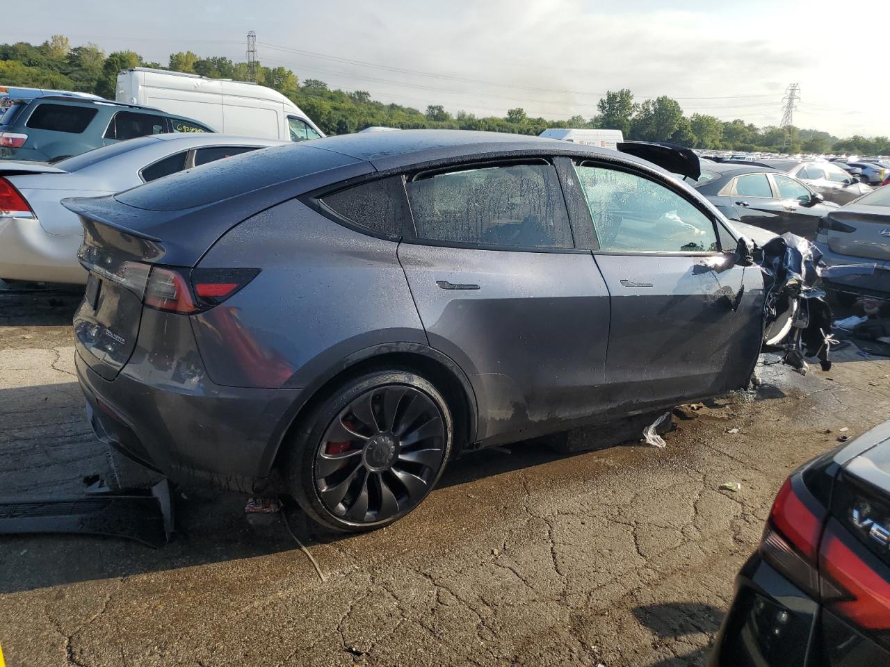 2023 TESLA MODEL Y  VIN:7SAYGDEF4PF917833