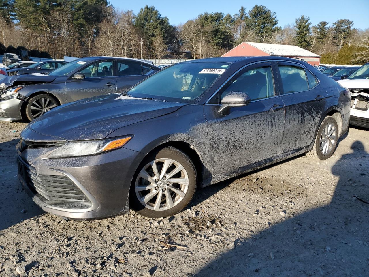 2024 TOYOTA CAMRY LE VIN:4T1C11BK5RU119436