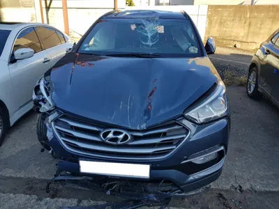2017 Hyundai Santa FE KMHSW81UBJU792401 VIN:KMHSW81UBJU792401