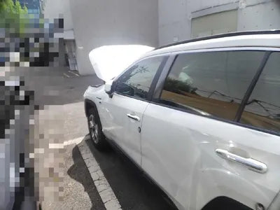 2019 Toyota RAV4 VIN: