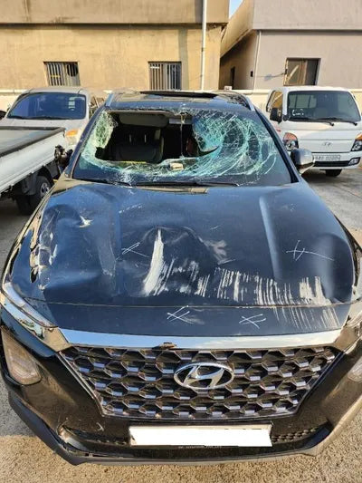 2019 Hyundai Santa FE KMHS281BBLU262622 VIN:KMHS281BBLU262622