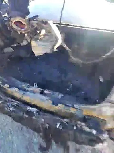 2018 Genesis G80 KMHGM41DDJU294611 VIN:KMHGM41DDJU294611