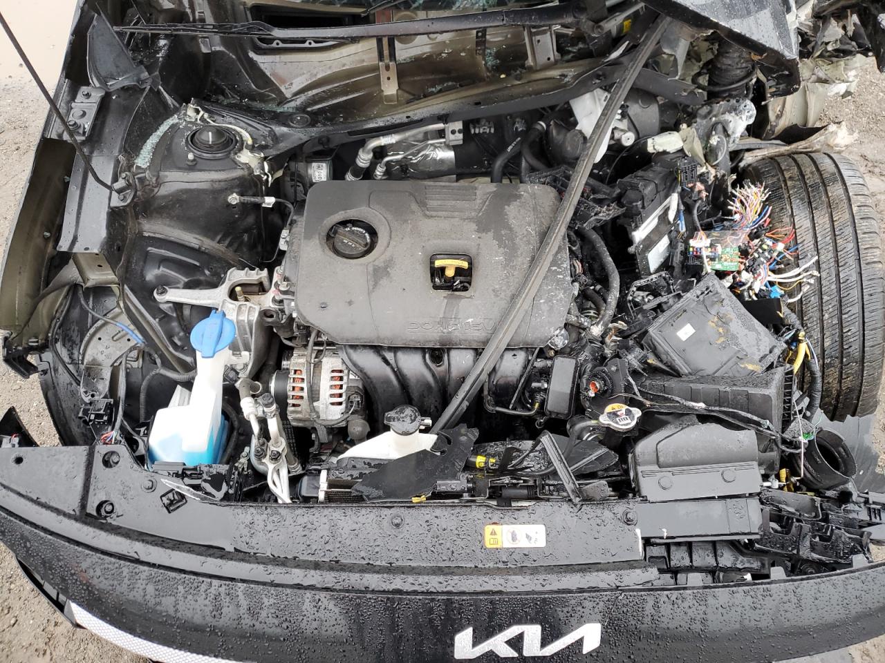 2022 KIA SELTOS LX VIN:KNDEPCAA3N7323676