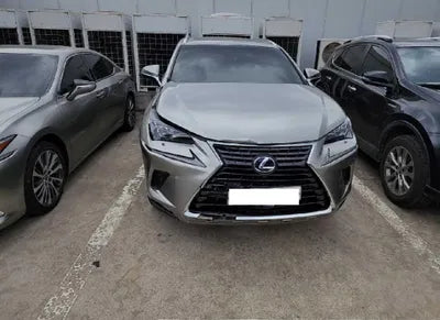 2018 Lexus NX 300 JTJBJRBZ6J2077481 VIN:JTJBJRBZ6J2077481