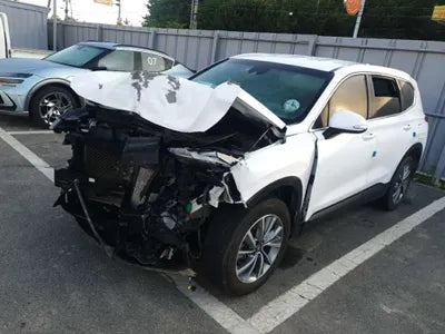 2019 Hyundai Santa FE KMHS281BBKU113319 VIN:KMHS281BBKU113319