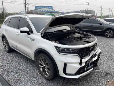 2022 Kia Sorento KNARH81FGPA185808 VIN:KNARH81FGPA185808