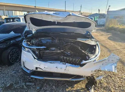 2021 Kia Carnival KNANE81BBMS103206 VIN:KNANE81BBMS103206