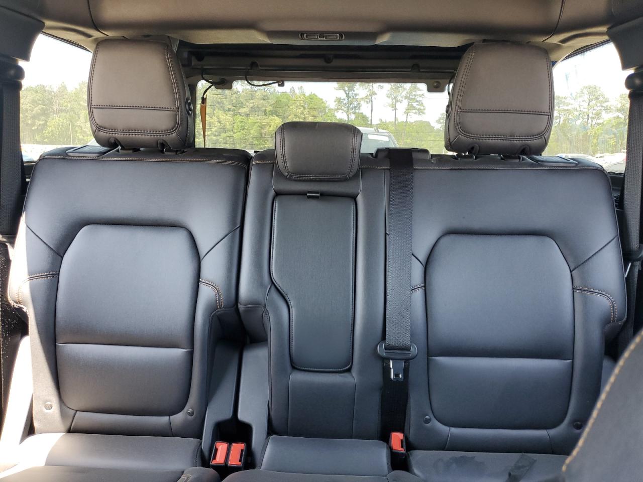2024 FORD BRONCO BADLANDS VIN:1FMEE9BP5RLA31676