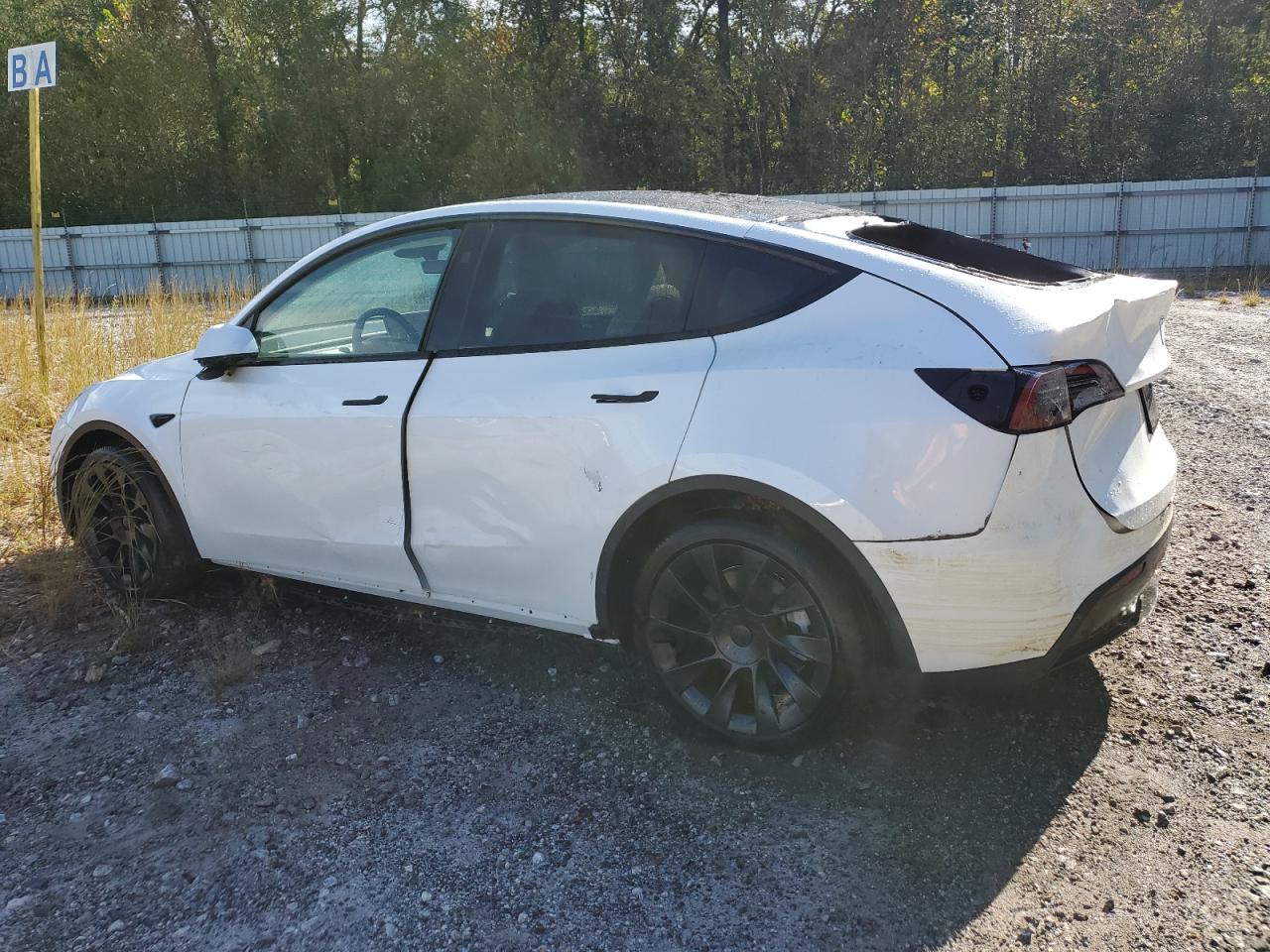 2024 TESLA MODEL Y  VIN:7SAYGDEE7RF993704