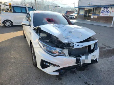 2019 Kia K5 KNAGU411BKA316282 VIN:KNAGU411BKA316282