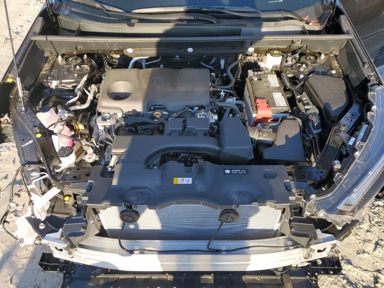 2024 TOYOTA RAV4 LE VIN:2T3G1RFV8RC479149