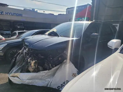 2021 Kia Carnival KNANC81BBMS075726 VIN:KNANC81BBMS075726