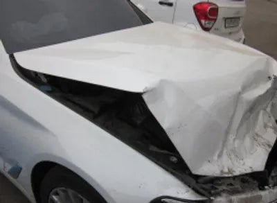 2020 BMW 520 WBAJF3109LWW54738 VIN:WBAJF3109LWW54738