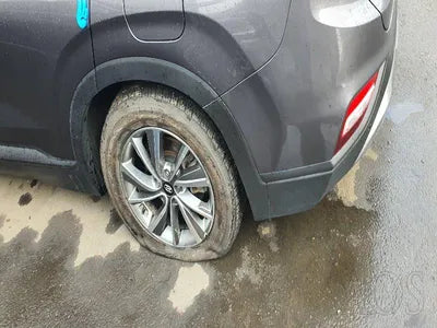 2019 Hyundai Santa FE KMHS281BBKU160055 VIN:KMHS281BBKU160055