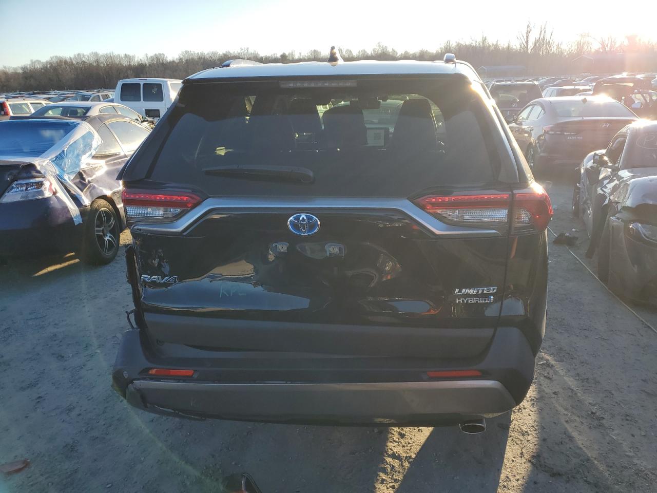 2024 TOYOTA RAV4 LIMITED VIN:JTMD6RFV8RD146949