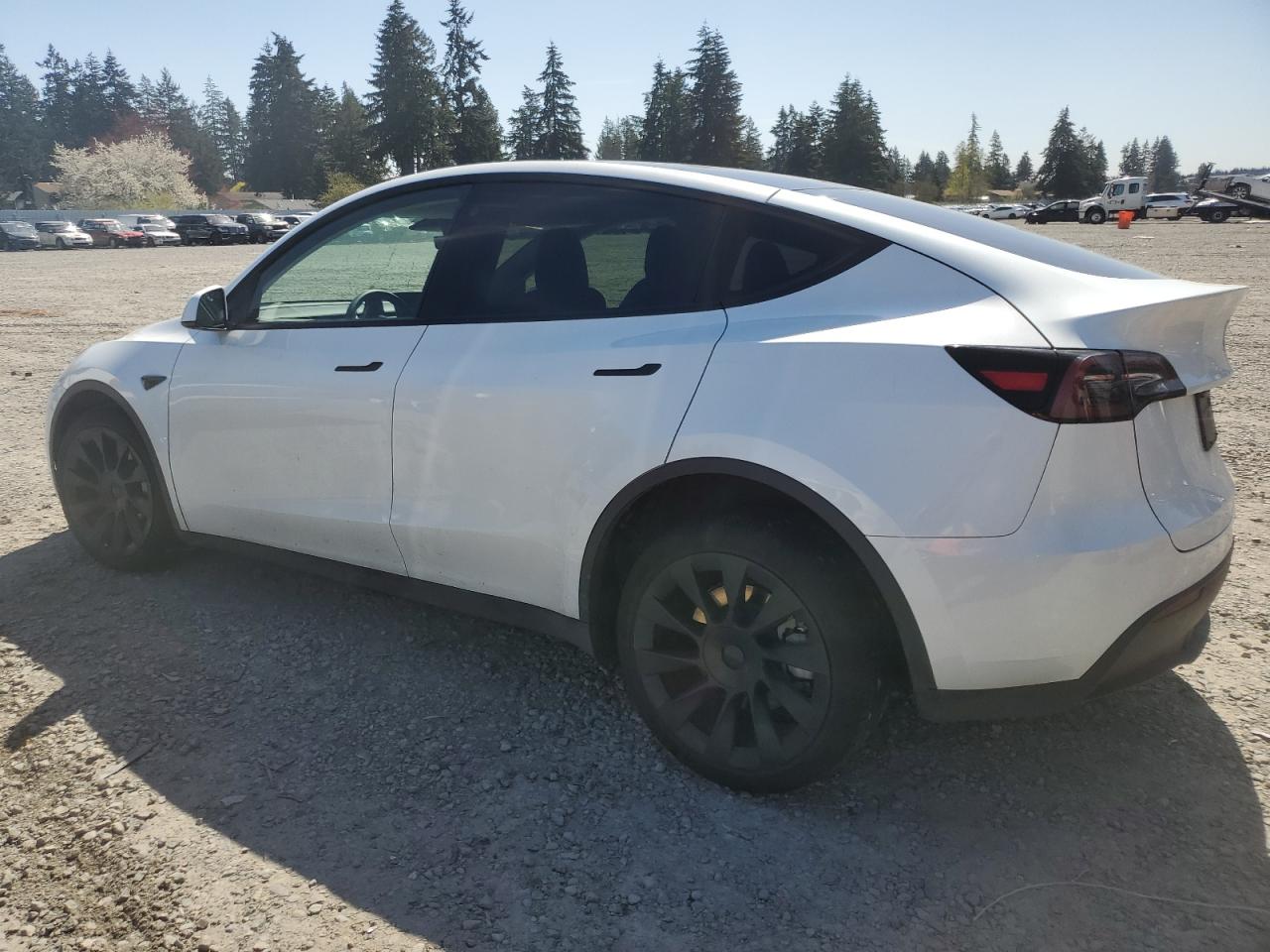 2023 TESLA MODEL Y  VIN:7SAYGDEE3PF751019