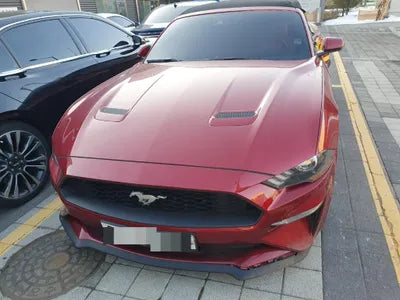 2019 Ford Mustang 1FATP8UH3K5196891 VIN:1FATP8UH3K5196891