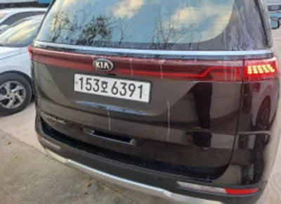 2021 Kia Carnival KNANC81BBMS018195 VIN:KNANC81BBMS018195