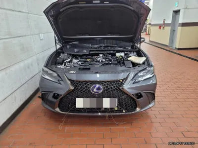 2022 Lexus ES 300 JTHBA1C17N2011832 VIN:JTHBA1C17N2011832