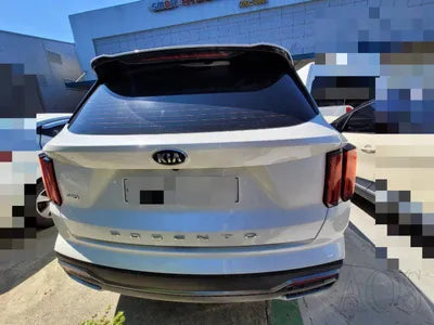 2020 Kia Sorento KNARL81BHMA045683 VIN:KNARL81BHMA045683